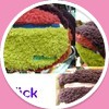 grün{glück