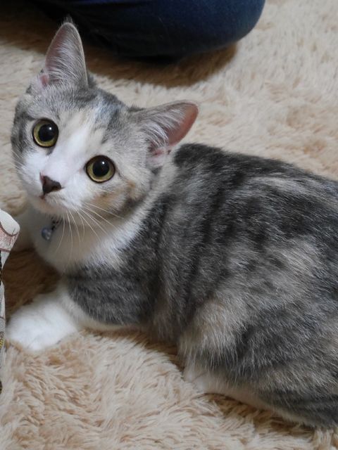 【もも】大きなクリクリおめめがかわいいでしょ! 【もも】大きなクリクリおめめがかわいいでしょ!