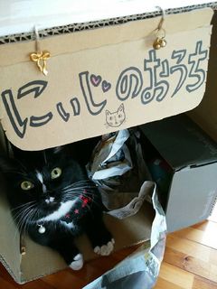128.にぃじ
