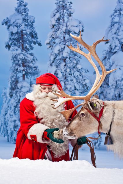 クリスマス サンタフェスタ クリスマス サンタフェスタ