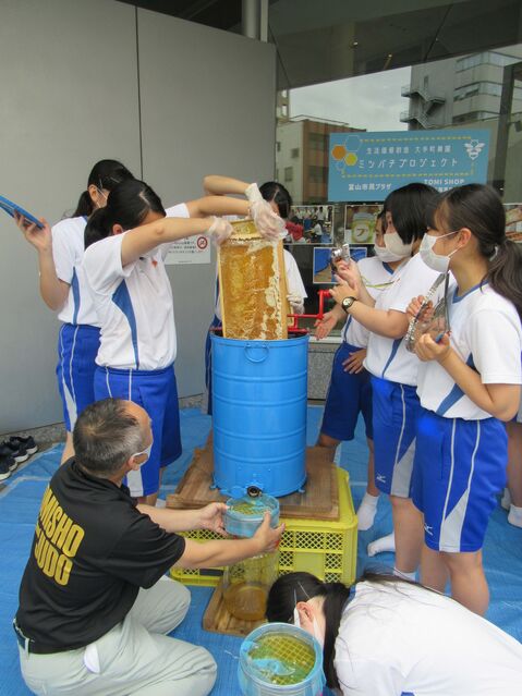 透き通った蜂蜜がトロリと流れ出てくると歓声が！