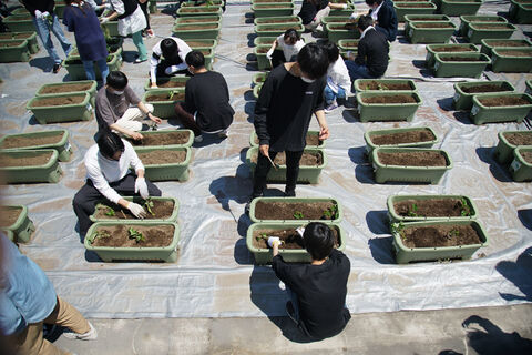 2021年5月31日 2021年5月31日