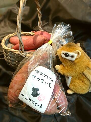 サツマイモ販売開始!! サツマイモ販売開始!!