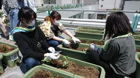 青池学園の生徒さんの苗植えの様子