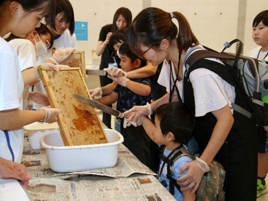 養蜂日記　8月