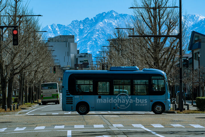 見て･乗って･調べて、まいどはやバス博士(はかせ)をめざそう！