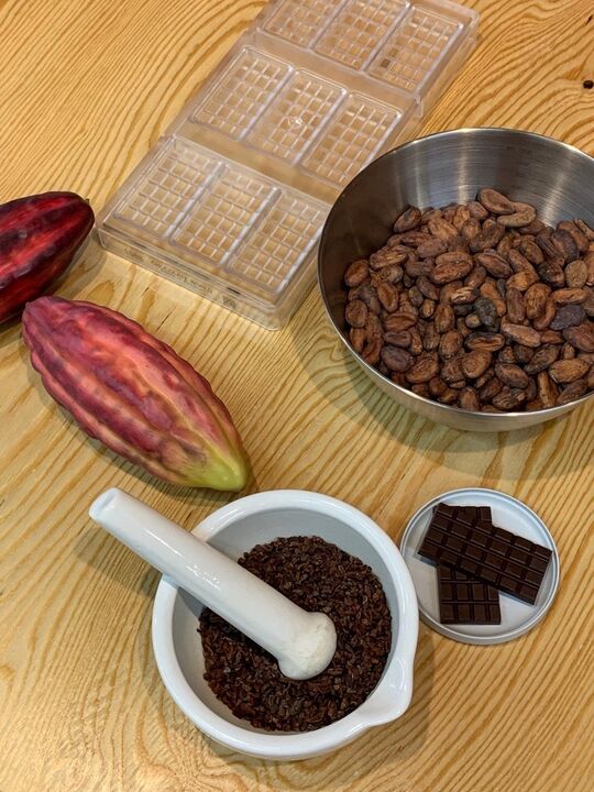 カカオ豆からチョコレートを作ろう