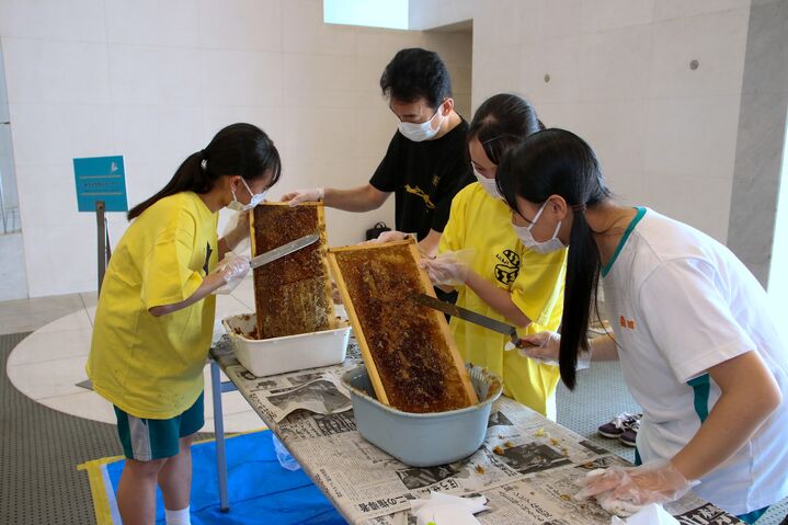 安全第一！蜜ブタ切り体験！