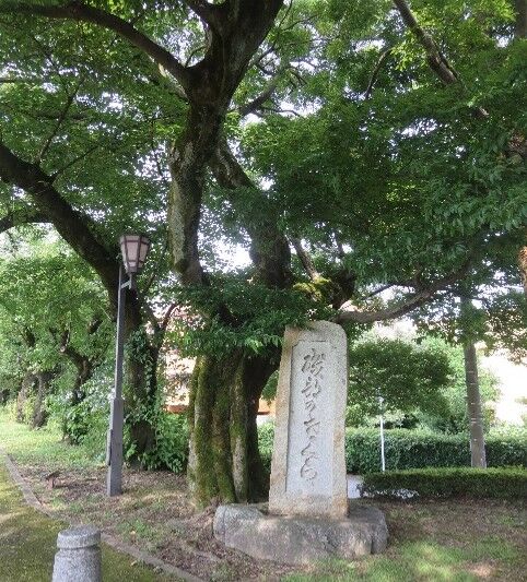 とやま　まち歩き　ツアー