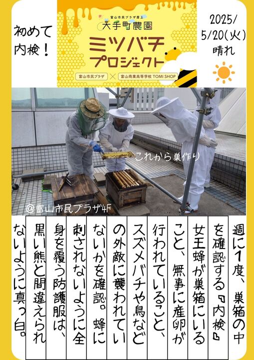ミツバチ日記