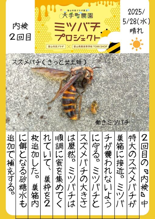 ミツバチ日記