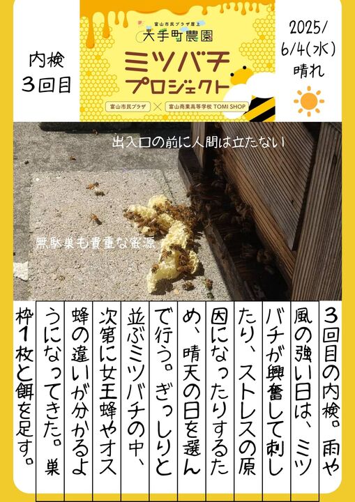 ミツバチ日記