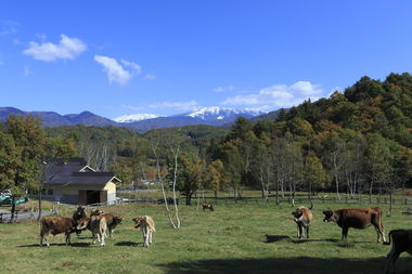 天空の牧場　奥飛騨山之村牧場