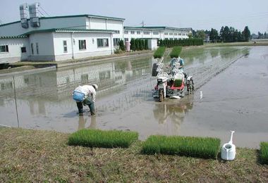 株式会社タイワアグリ