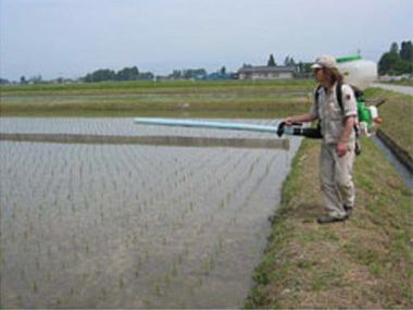 株式会社タイワアグリ