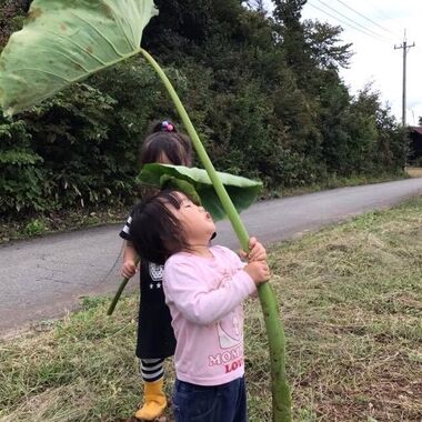 ファーム杉林